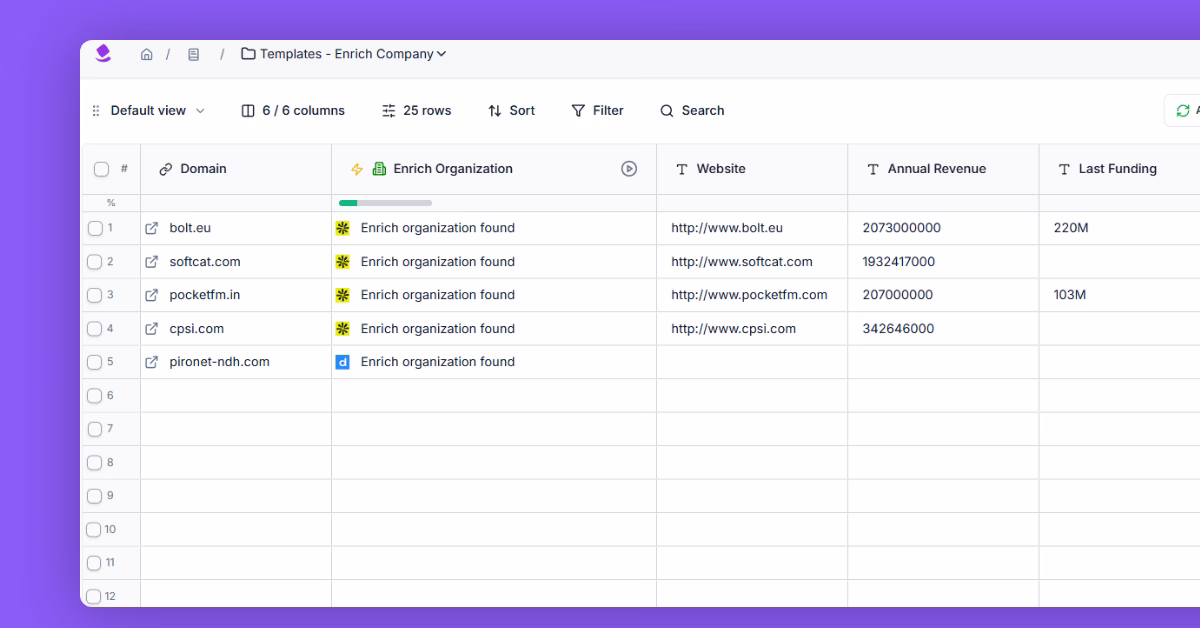 Enrich companies with firmographic and domain data template preview