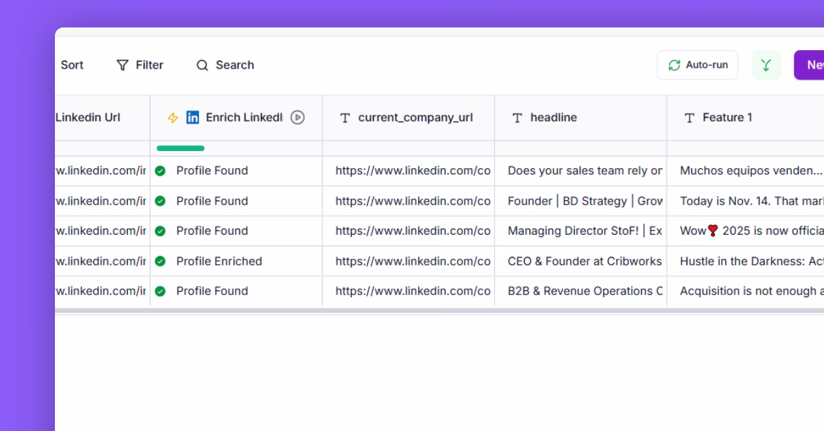 Scrape and enrich LinkedIn profiles at scale template preview