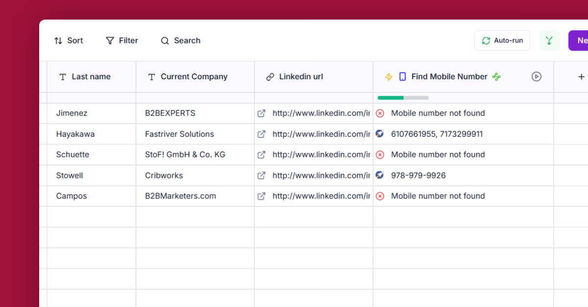 Find mobile phone numbers with Waterfall Enrichment template preview