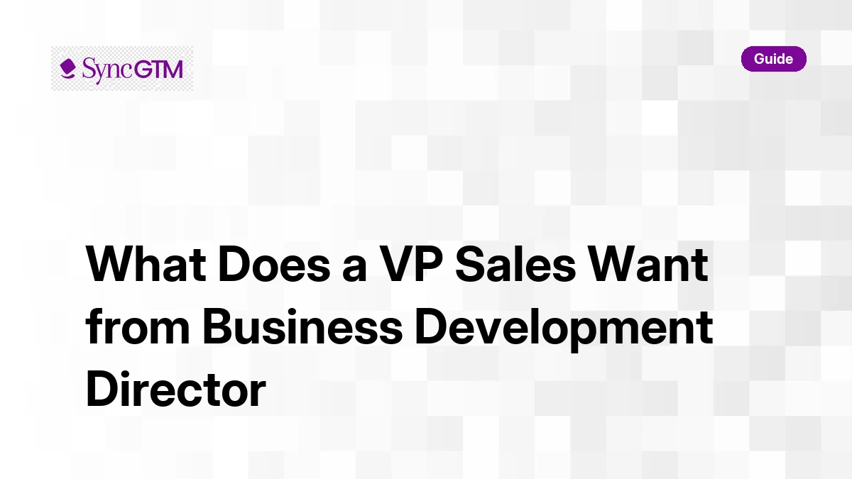 What does a VP of Sales want from a Business Development Director — guide by SyncGTM